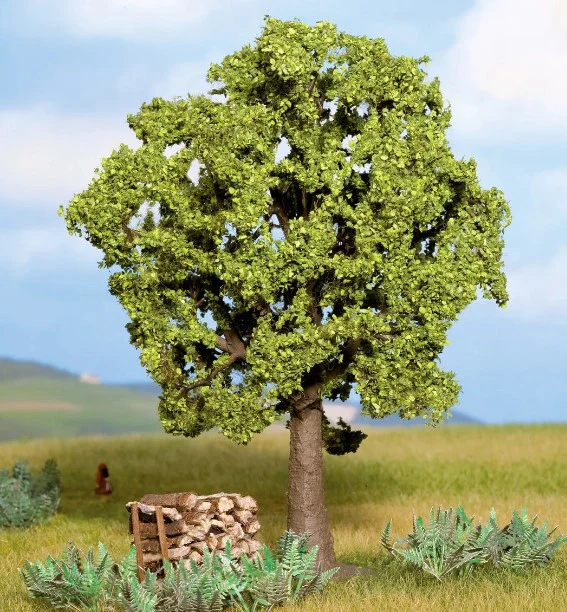 GM1841 Beech Premium Tree