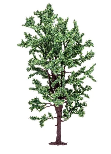R7211 Horse Chestnut Tree
