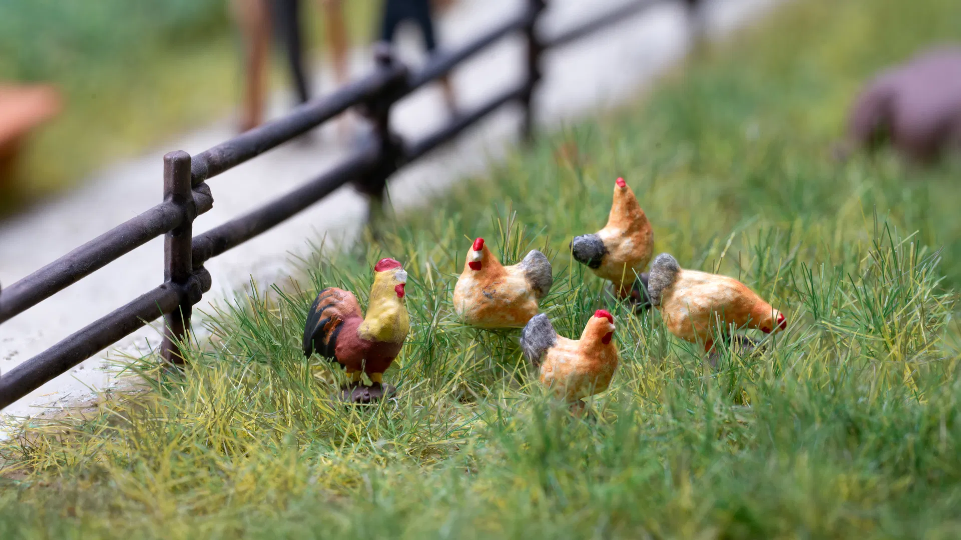 Chickens & Rooster Sound Scenes 2.0 Module - N Scale