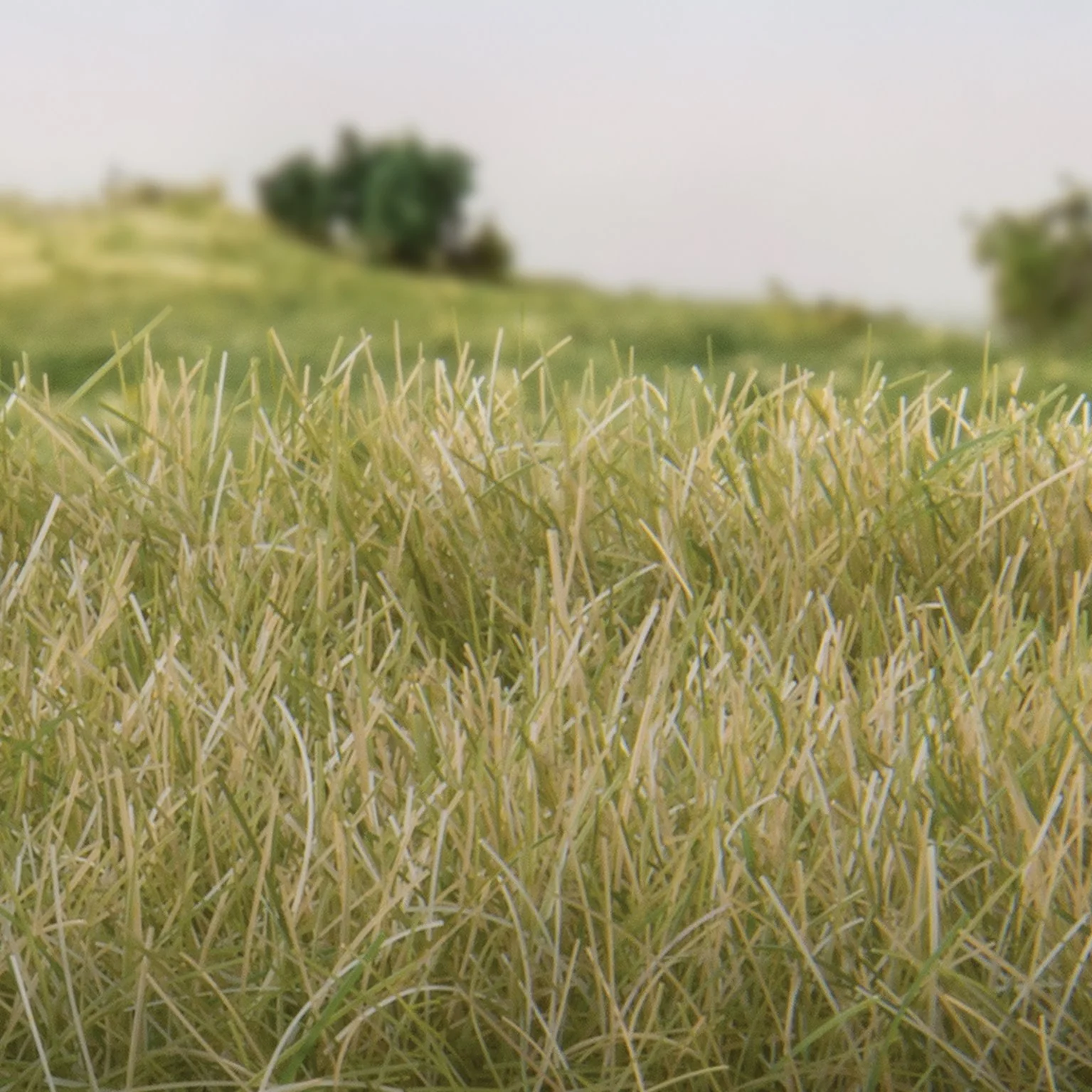 FS627 12mm Static Grass Light Green - Image 2